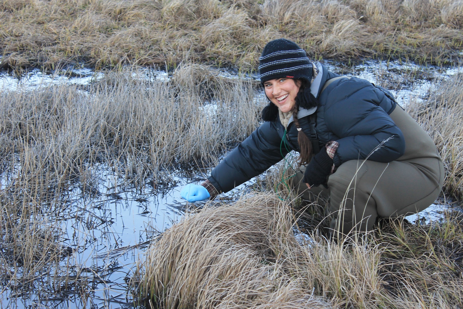 Fieldwork with amphibians can be wet ... and cold! Photo courtesy Laura Brannelly.