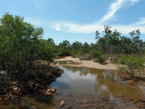 Second creek, lined with mangroves.