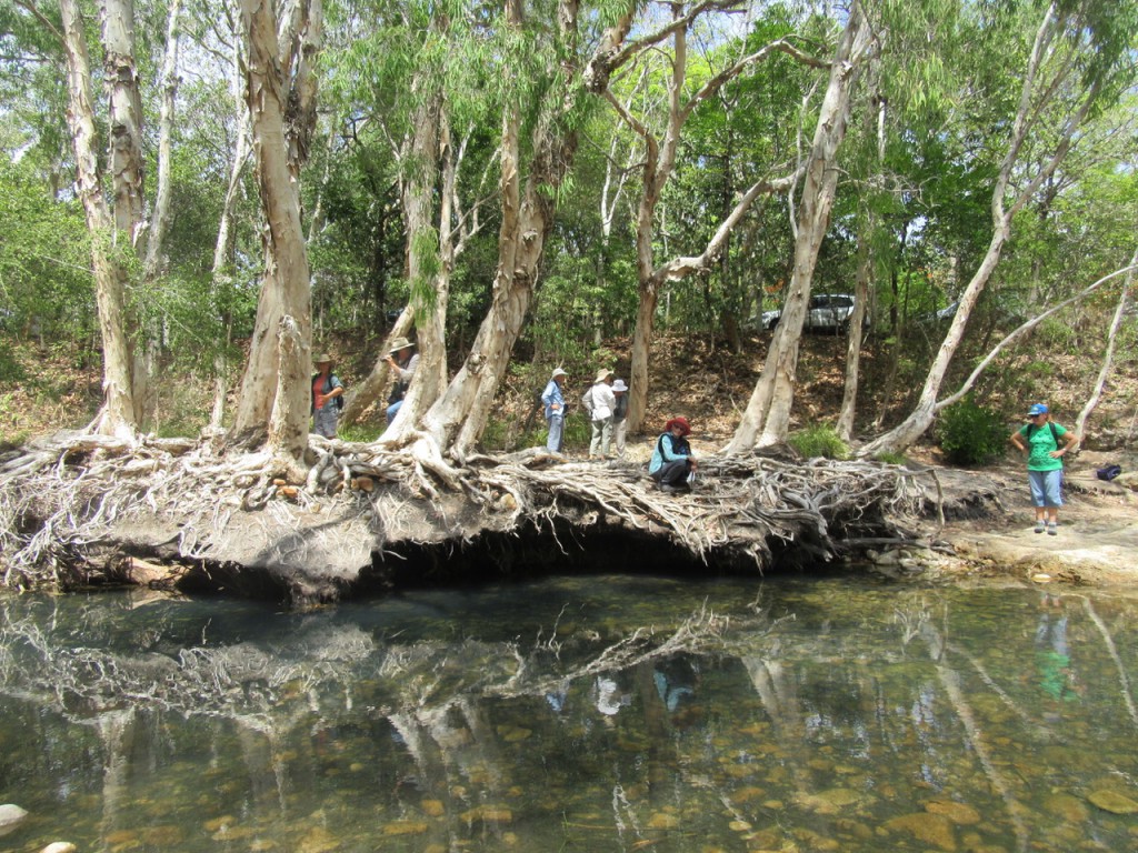 Dropping water levels at Rollingstone